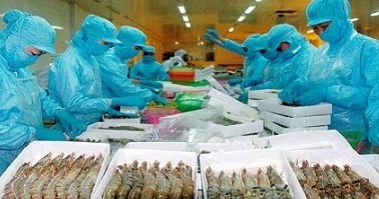 China Demand For Vietnam Shrimp up 60% in 2017, China Now largest Importer of Pangasius